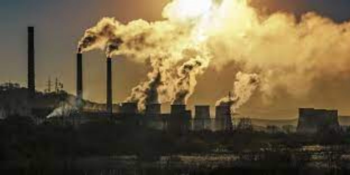 'Clear alarm': world reacts to UN climate solutions