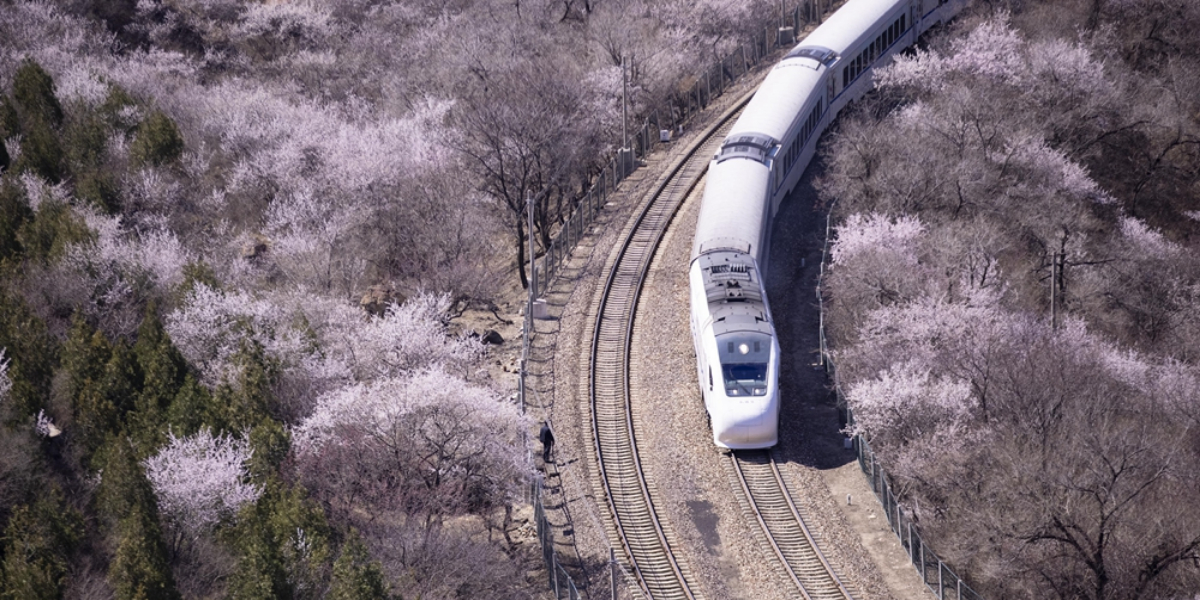 China's Jiangsu sees spike in int'l rail freight in Q1
