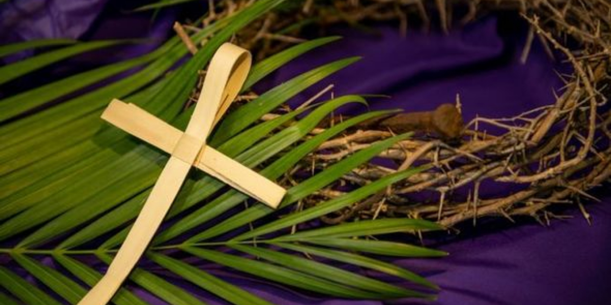 Everything you need to know about Palm Sunday!