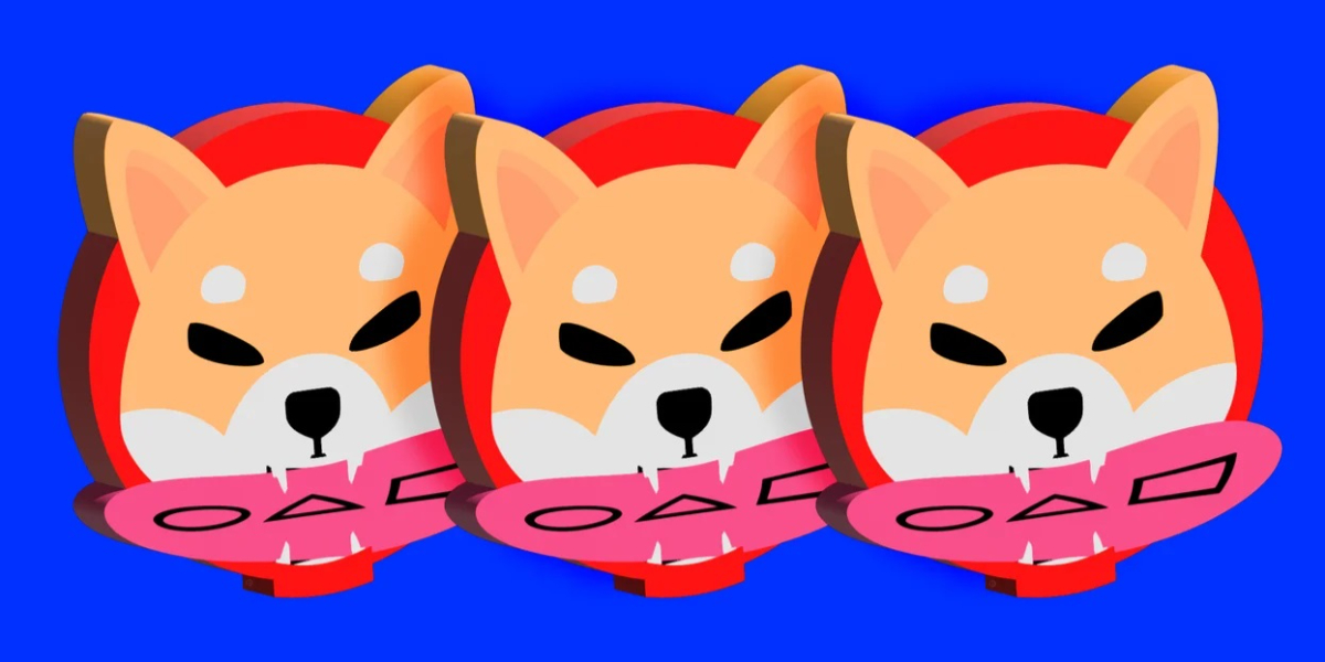 Shiba Inu