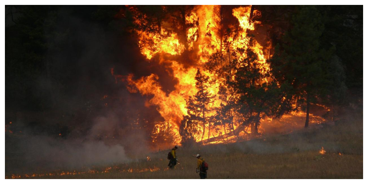New Mexico Fire
