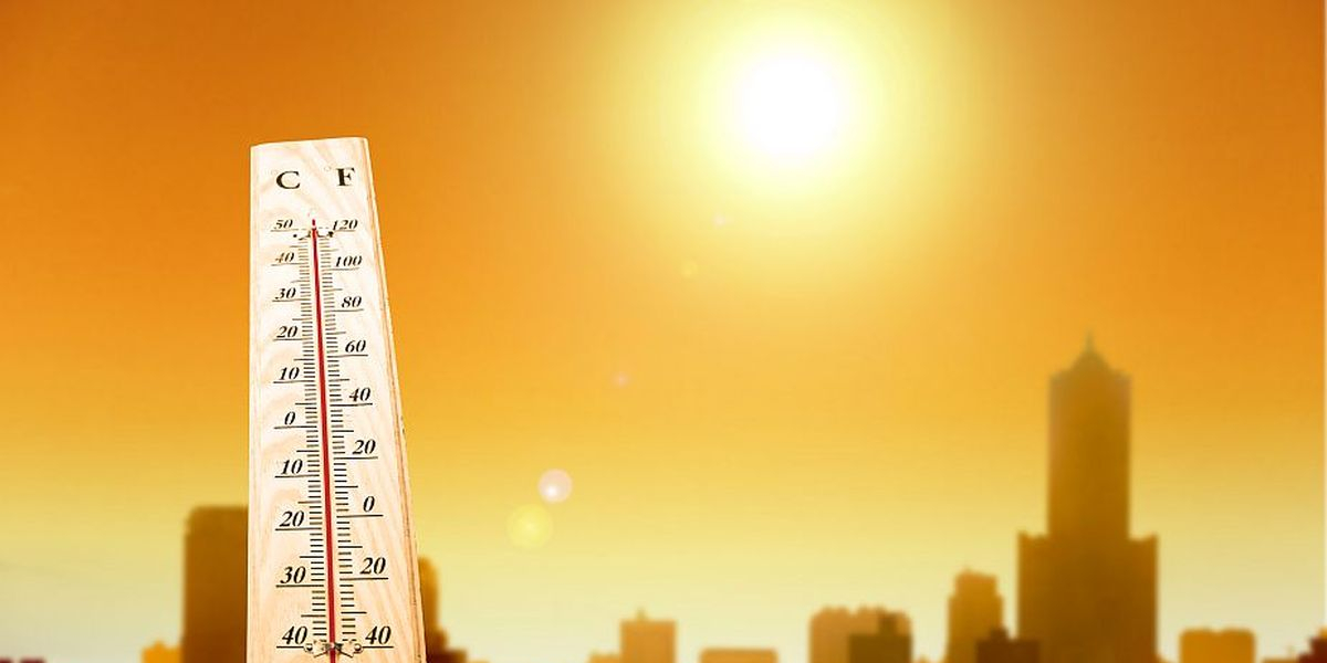 Europe had its hottest summer last year, climate change report