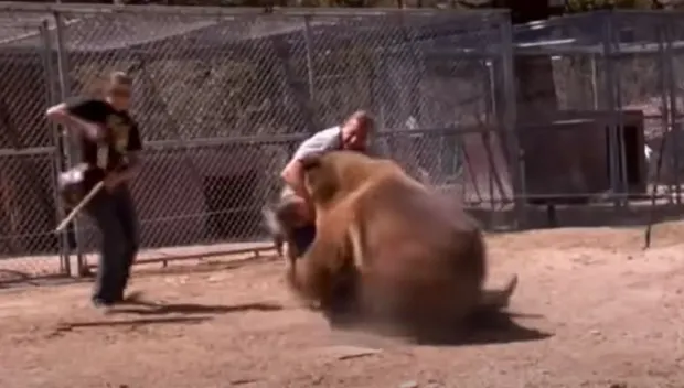 horrifying video