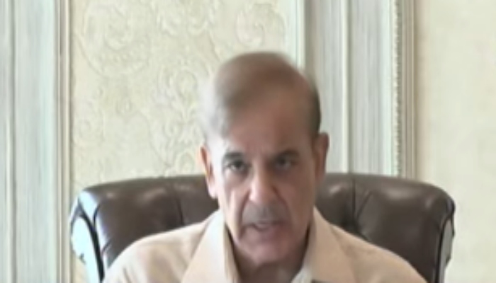 PM Shehbaz cabinet