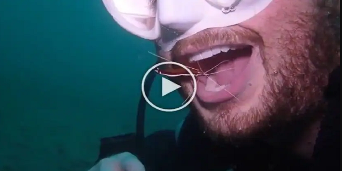 Scuba diver