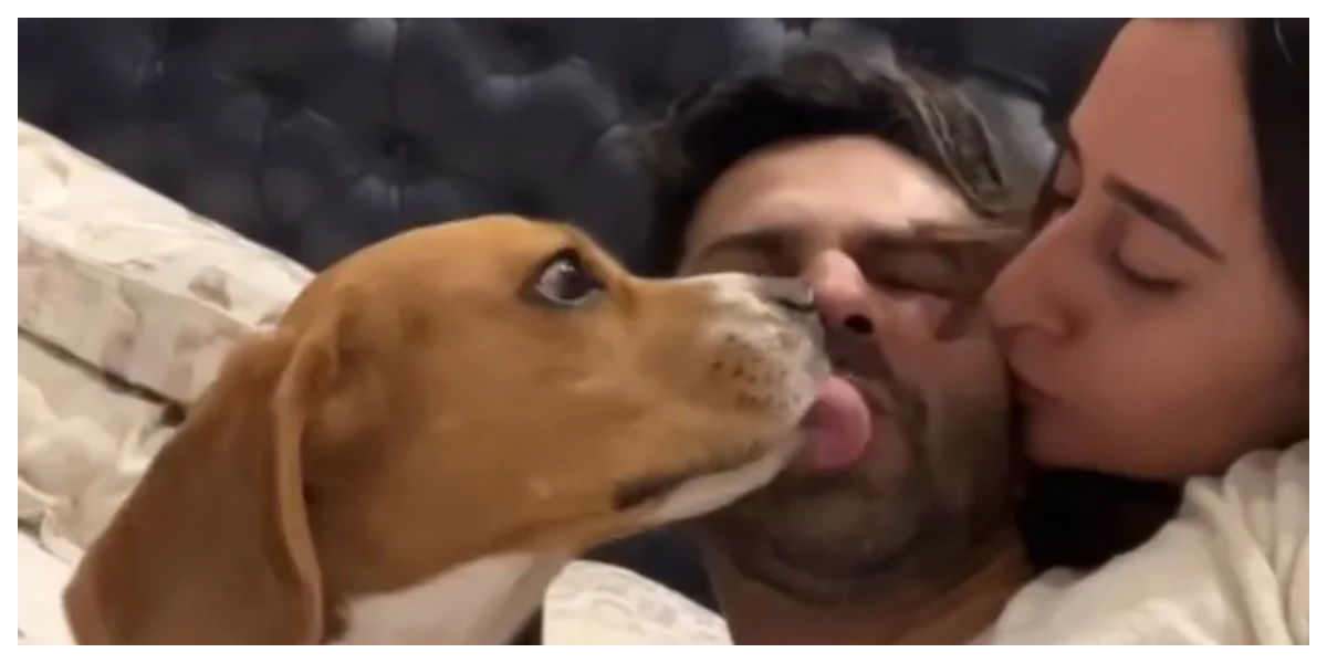varun dhawan