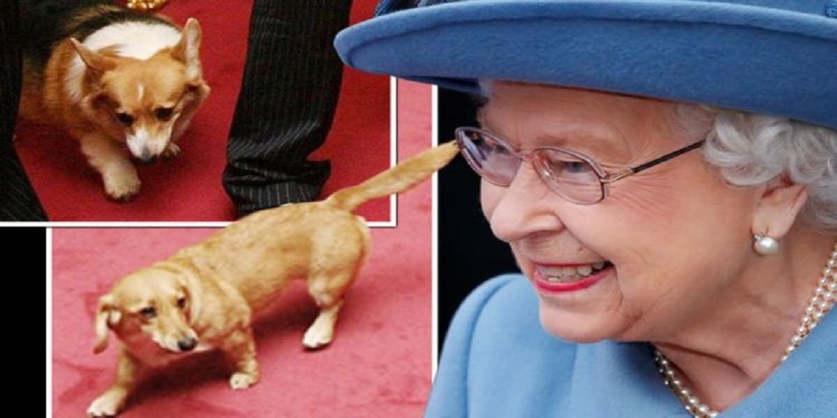 Queen Elizabeth