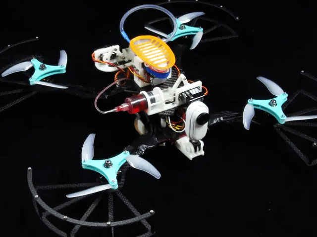 Drone