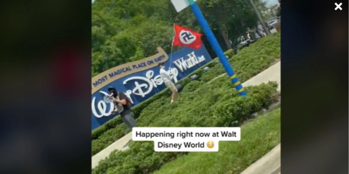 protesters who waved Nazi swastika flags