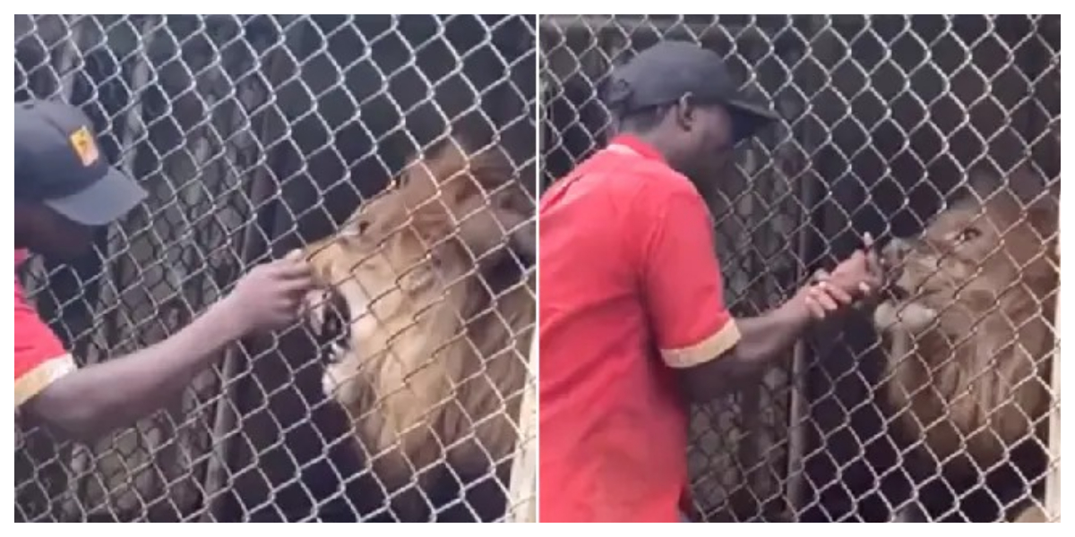 Zookeeper