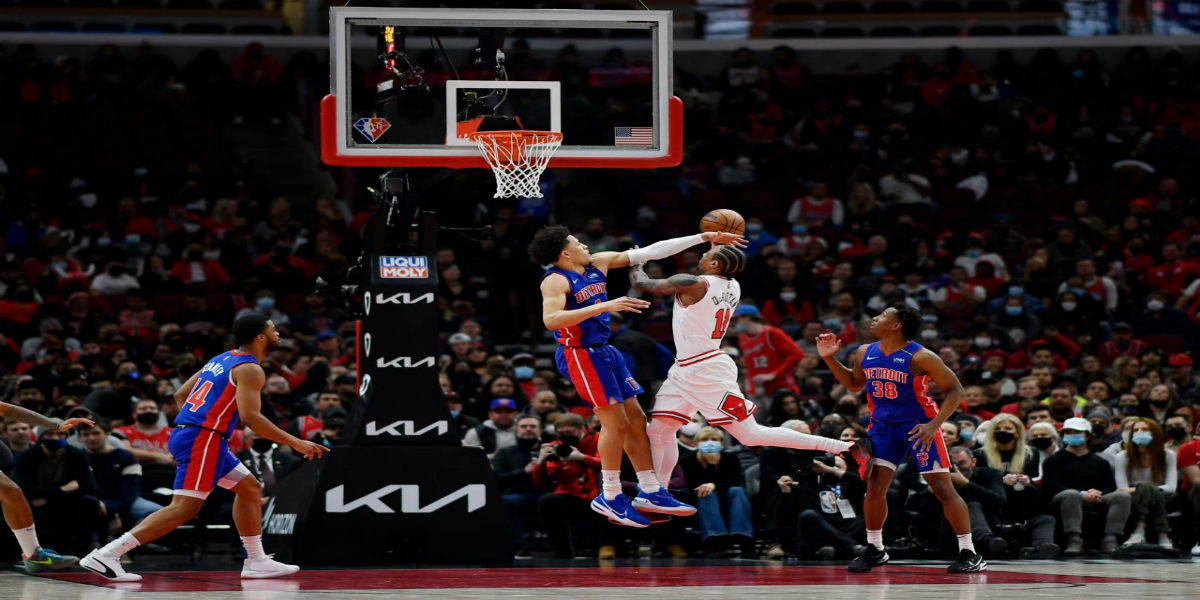Bulls