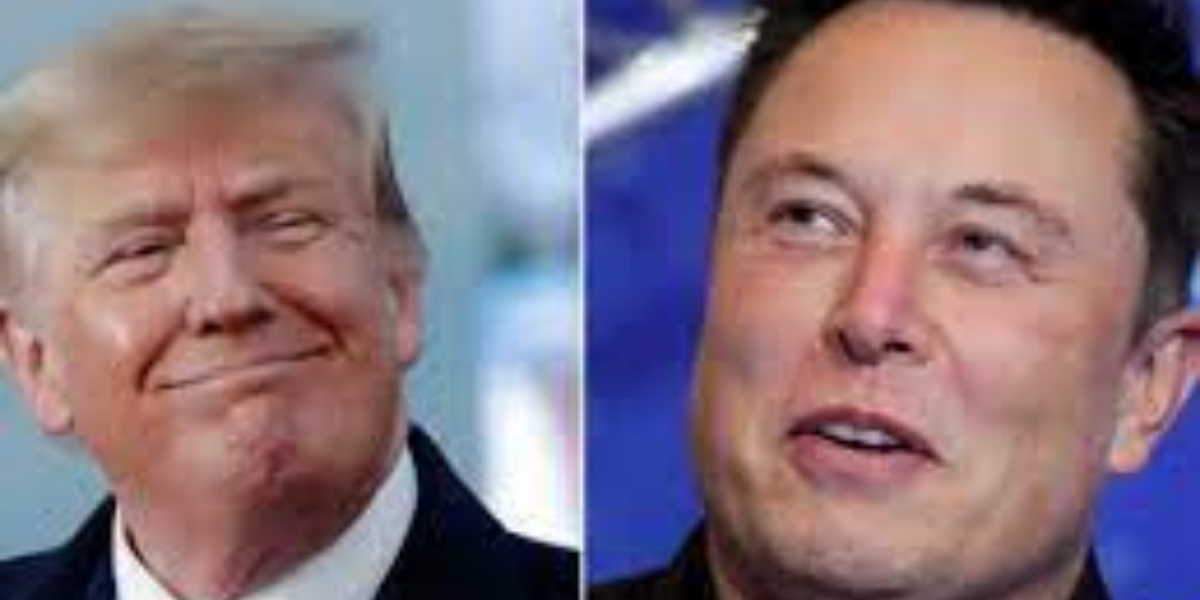 Elon Musk stated that he will cancel Donald Trump's Twitter ban
