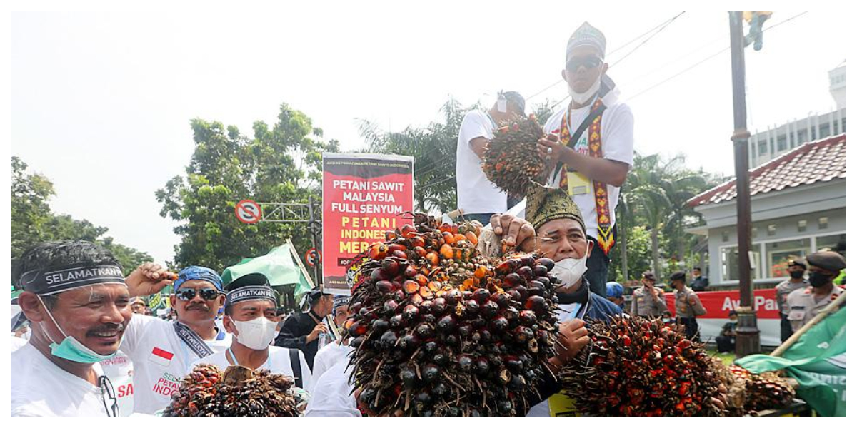 Farmers protest in Indonesia
