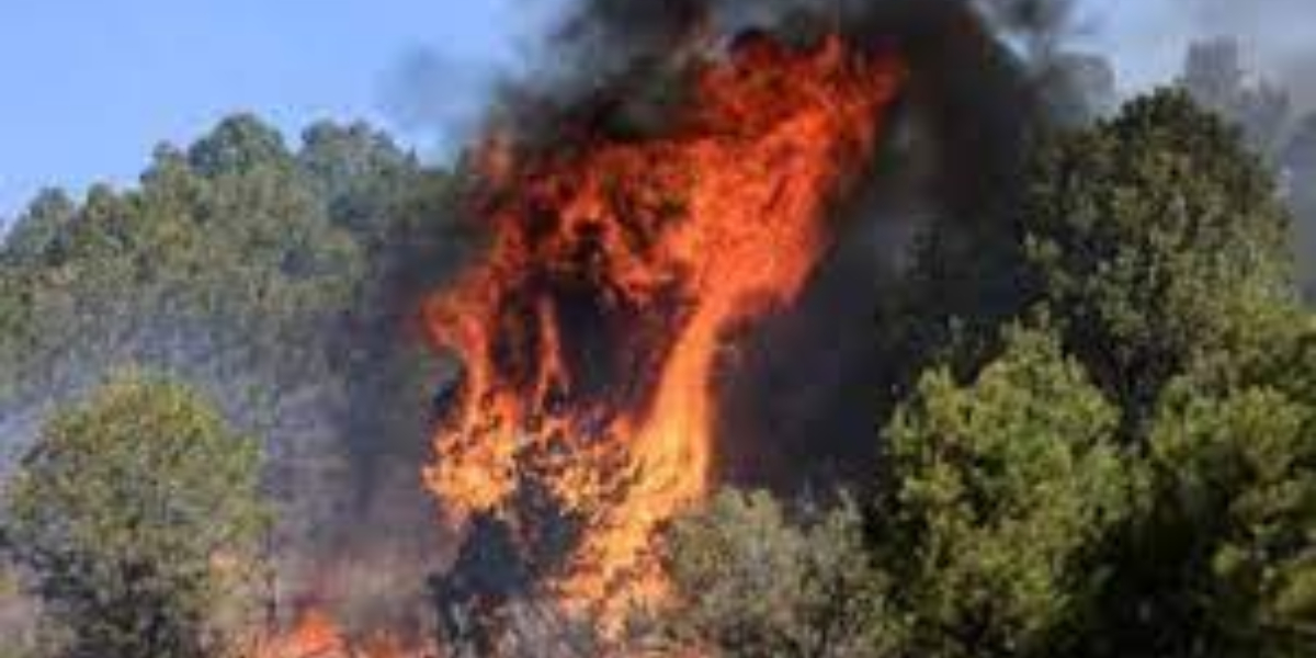Forest Service says that Mexico's responsible for the entirety of New  largest wildfire