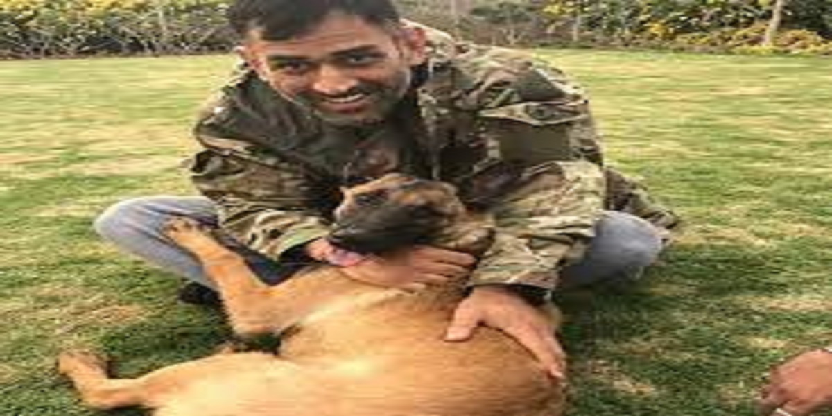 MS Dhoni