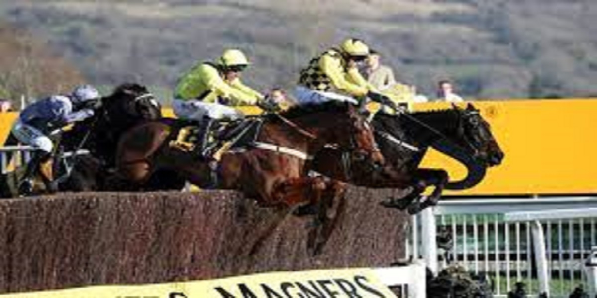 French Gold Cup