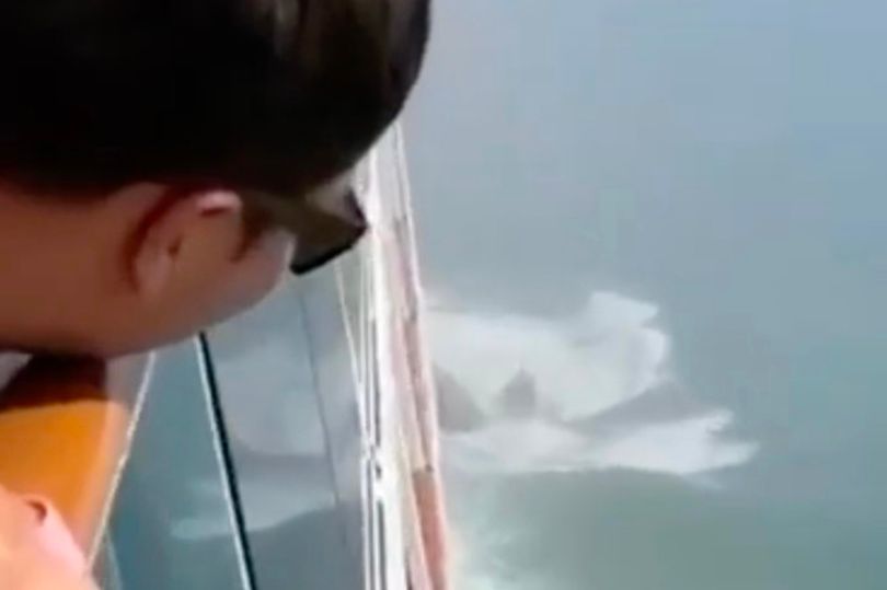 cruise liner collides