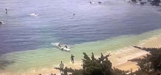 Biggest Shark Attack