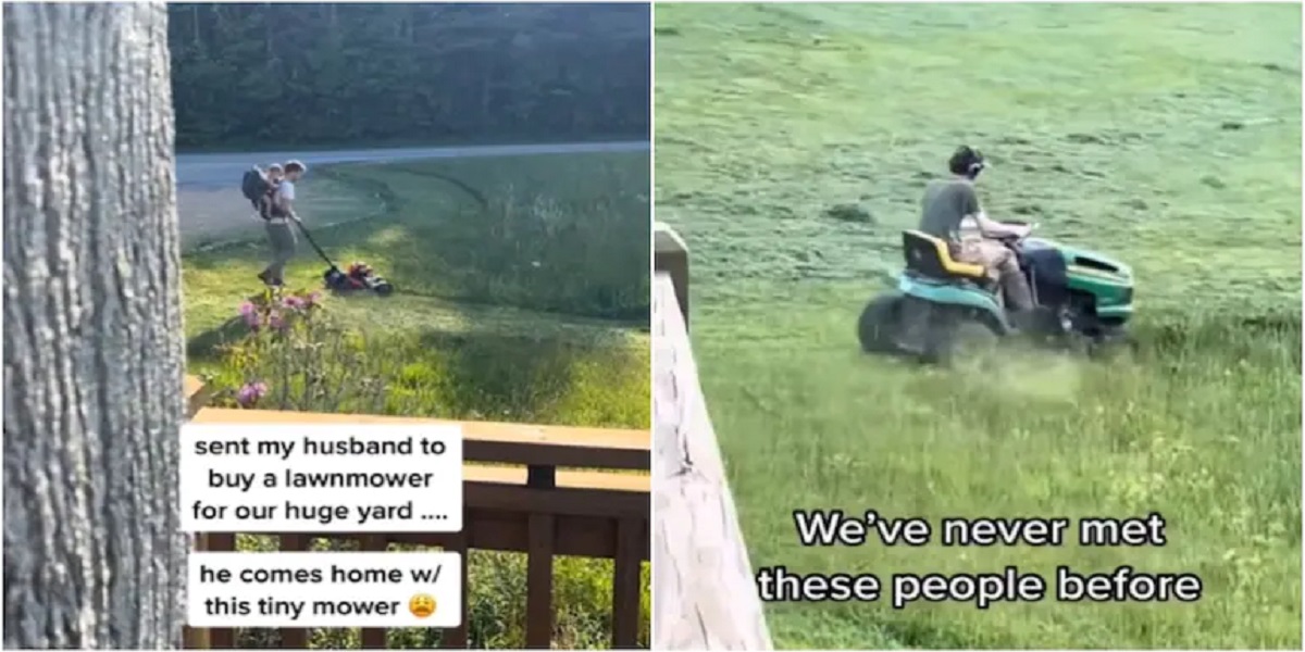 lawn