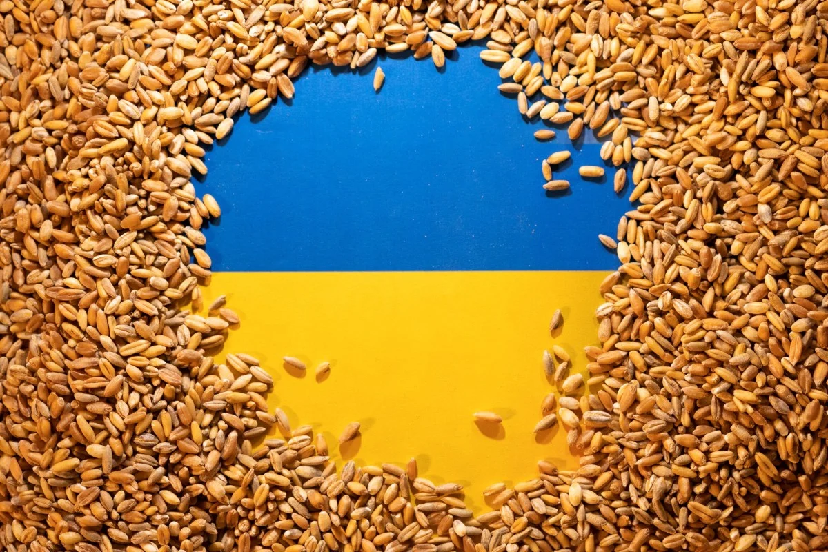 UN plan for grain