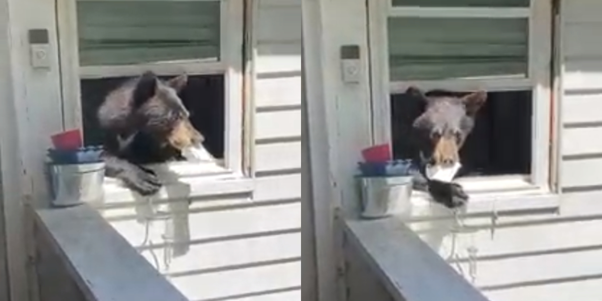 intruder in home