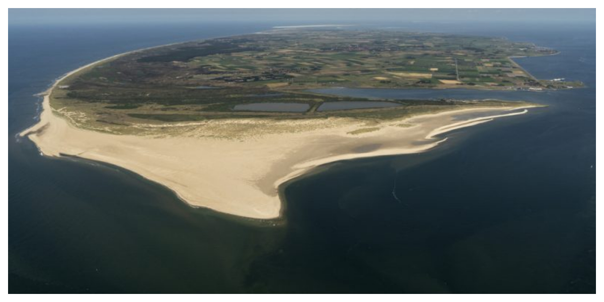 Dutch