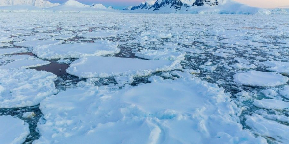 Antarctic snow
