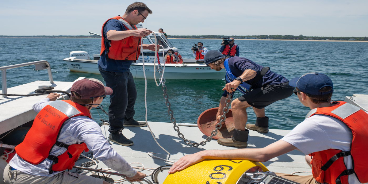 Scientists in Maine use buoys off the shore to track sharks/Bolnews.com