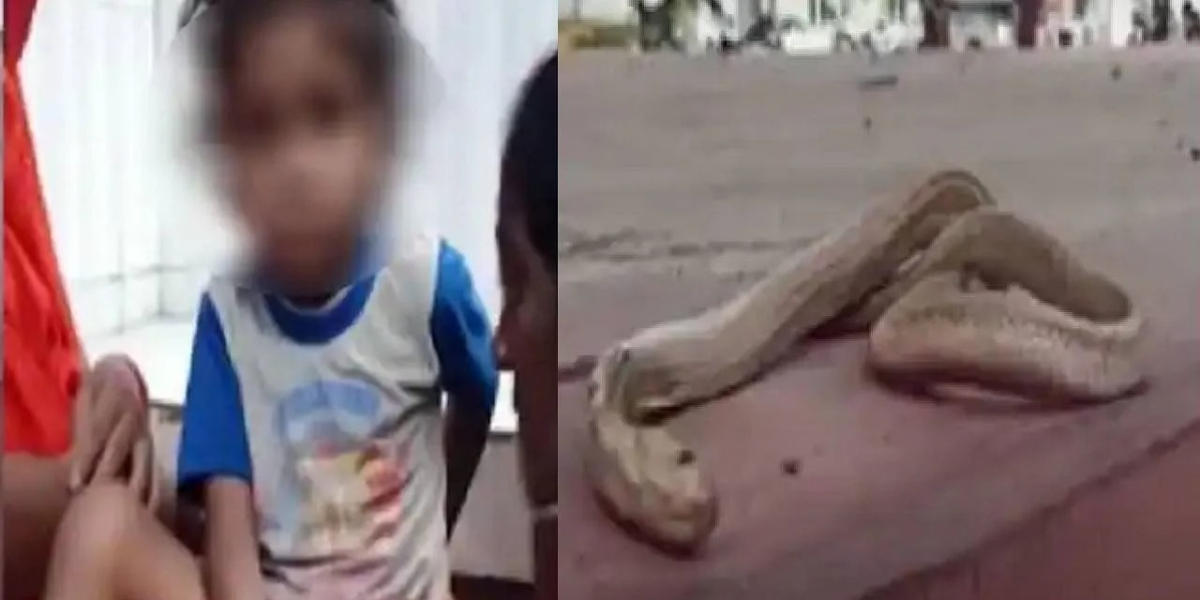 Snake died