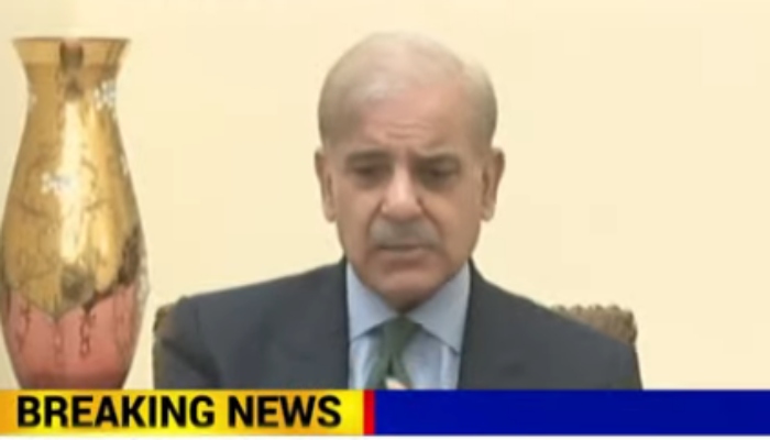 PM Shehbaz decisions