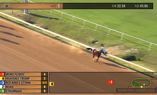 horse race crash