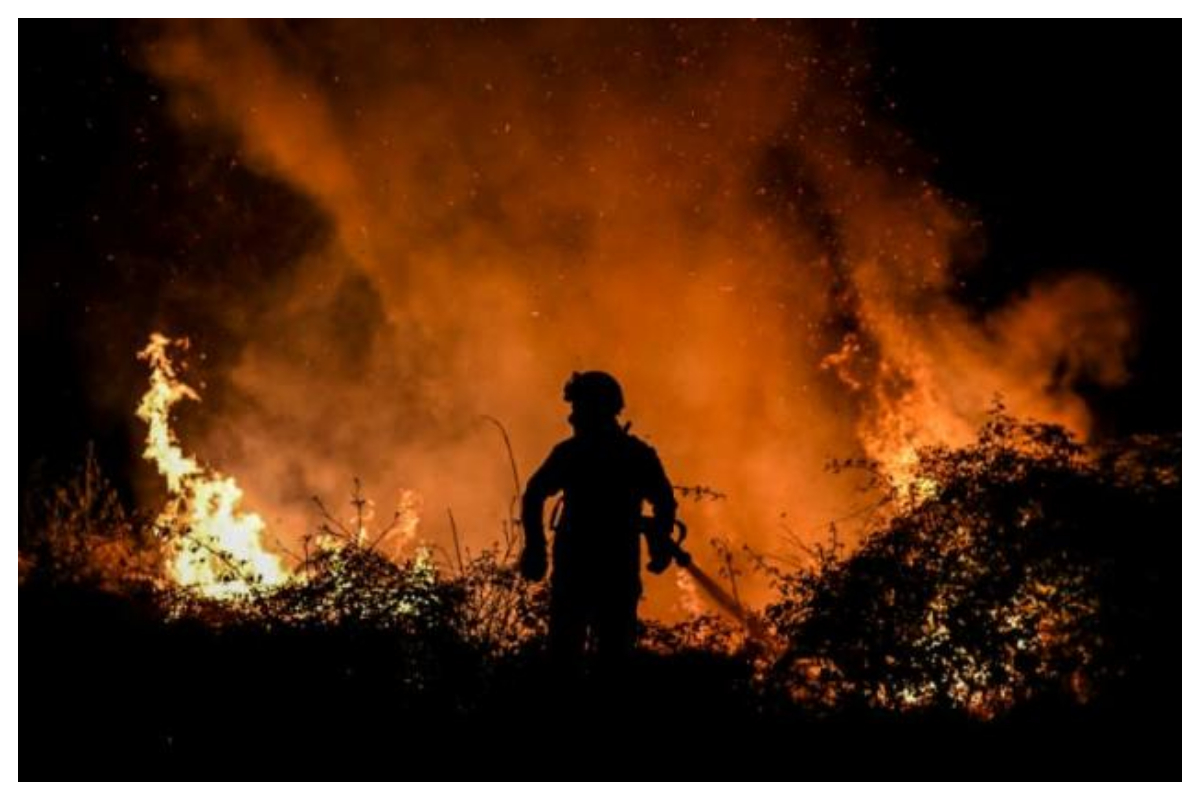Forest fires