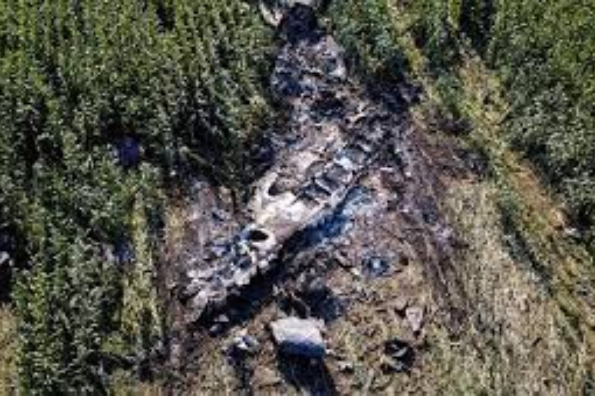 Ukrainian cargo  crash