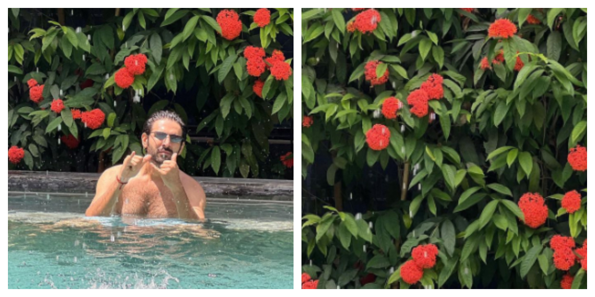 Kartik Aaryan goes from Bhool Bhulaiyaa to Pool Bhulaiyaa