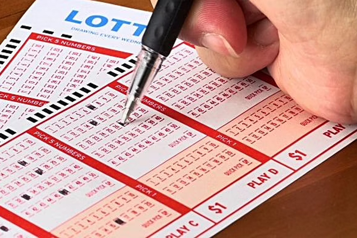 Nagaland State Lottery Result