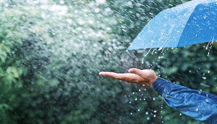 Rain