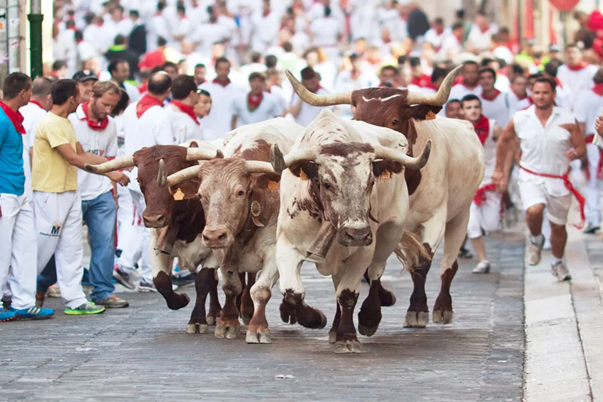 San Fermin bull-running celebration