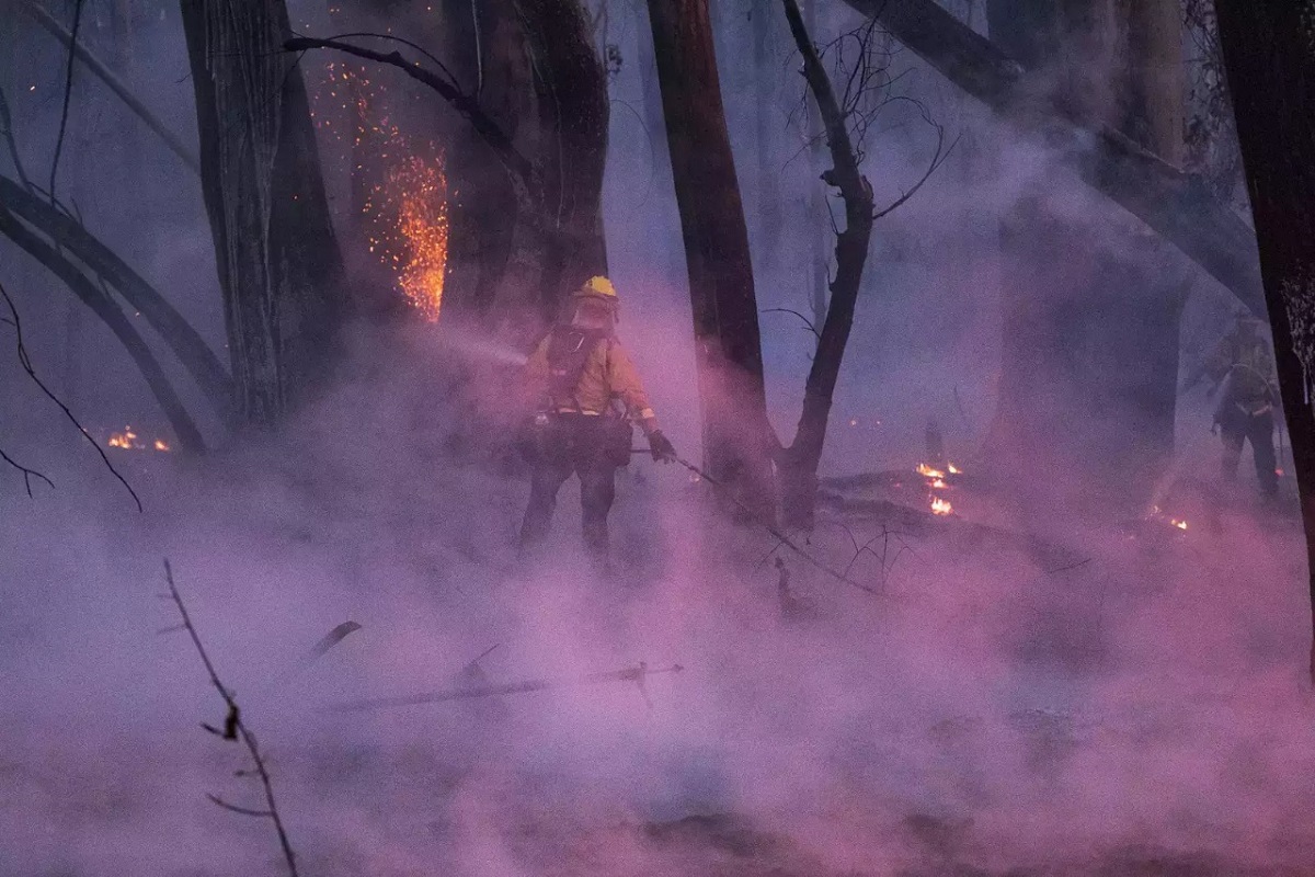 wildfire