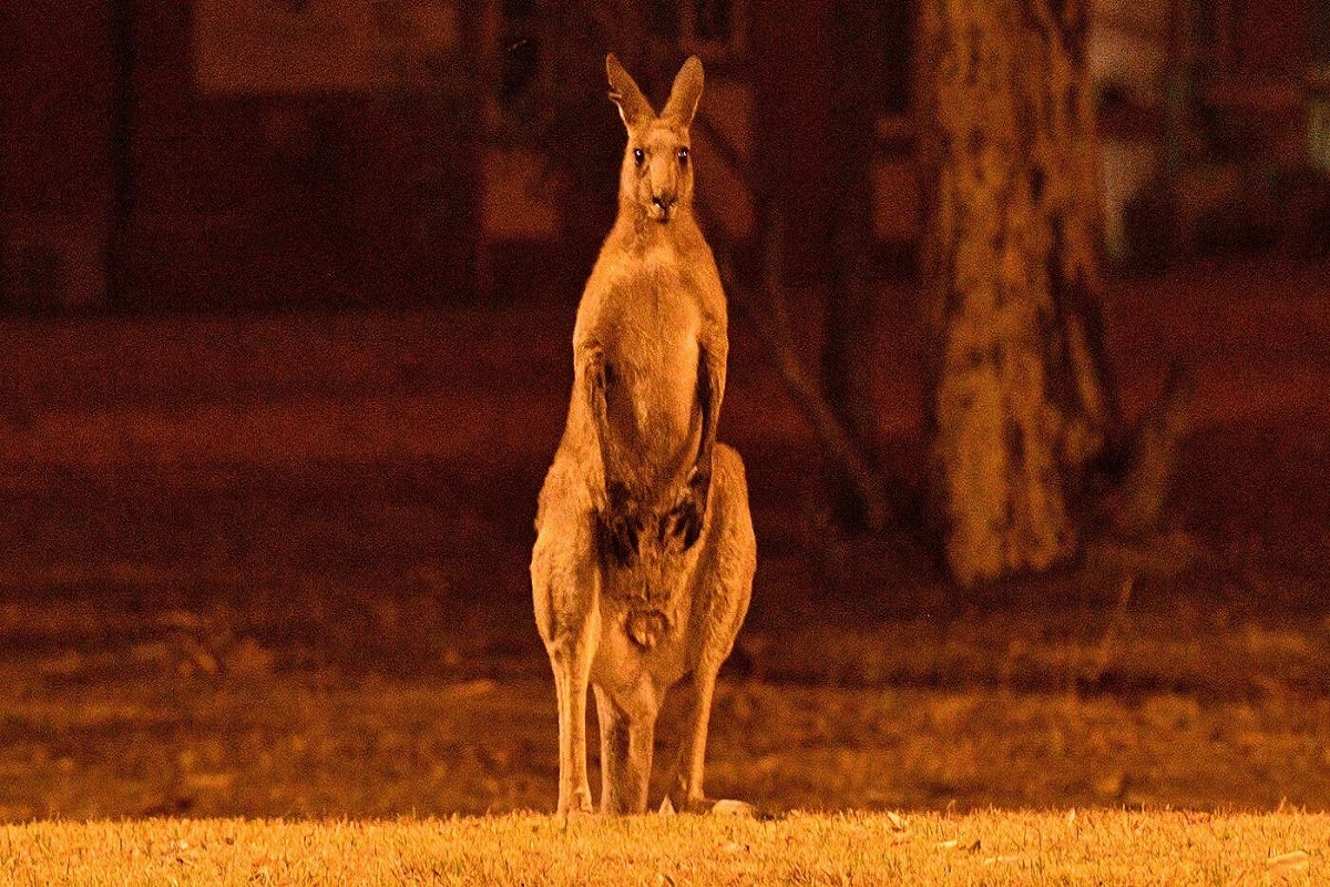 Australia