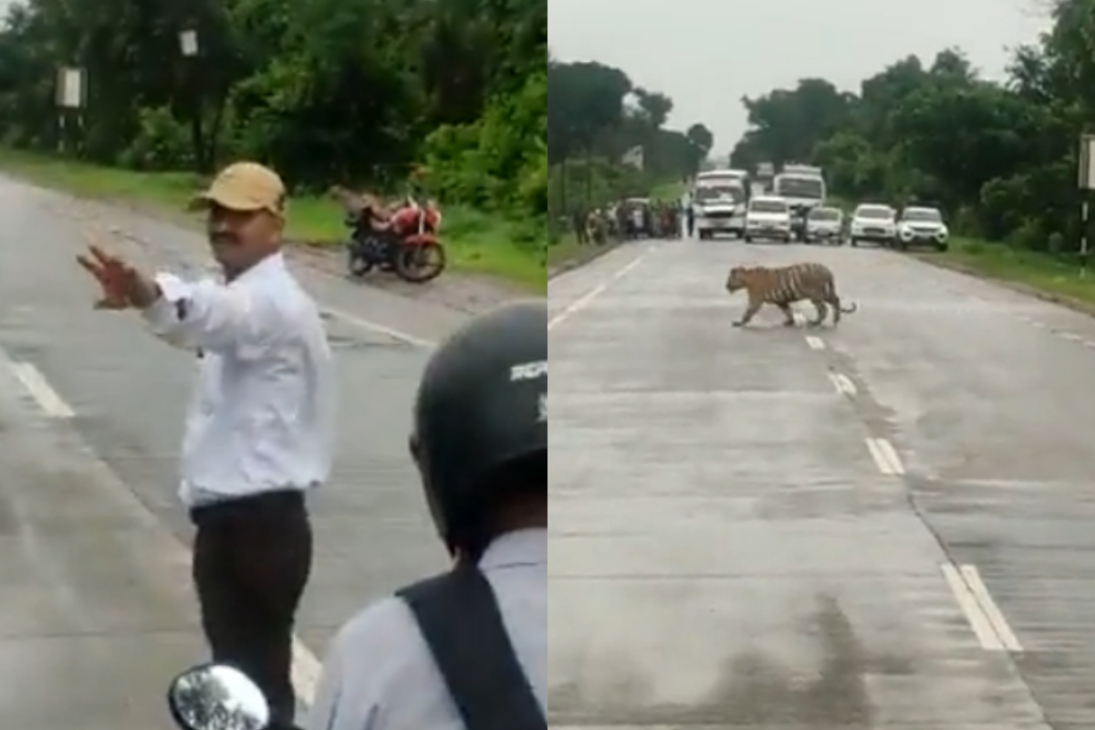traffic police