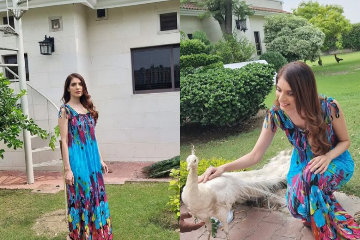 Saeeda Imtiaz