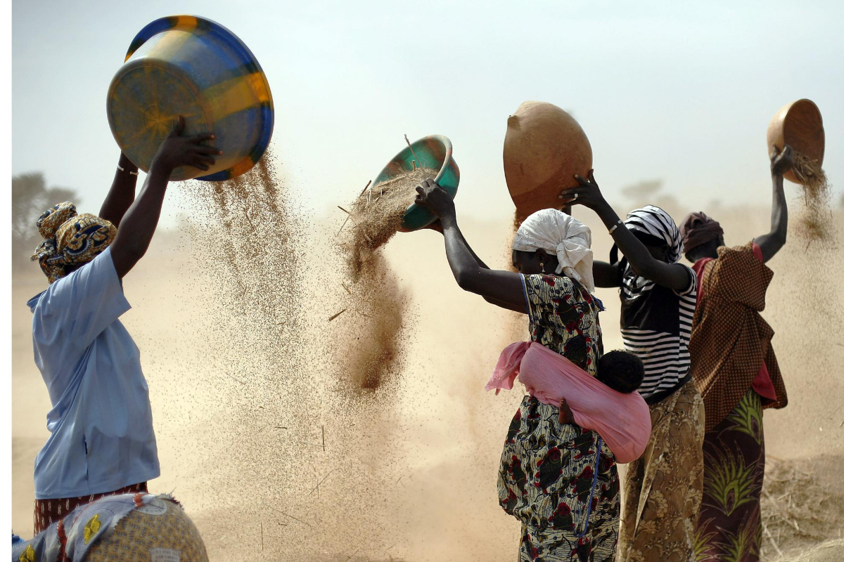 Horn of Africa receives food