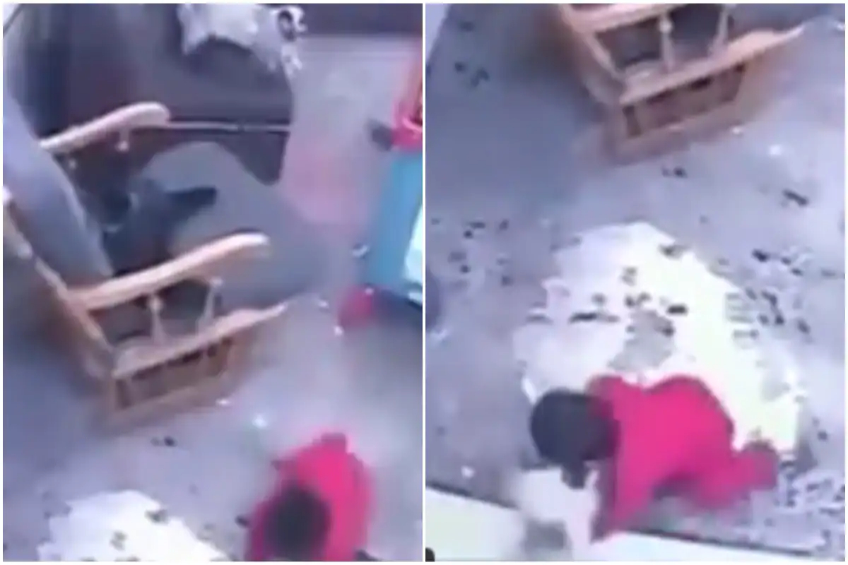 cat saves toddler