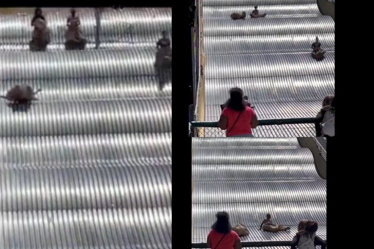 giant slide