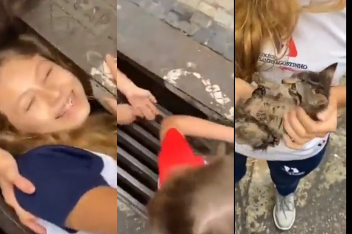 Girl saves kitten