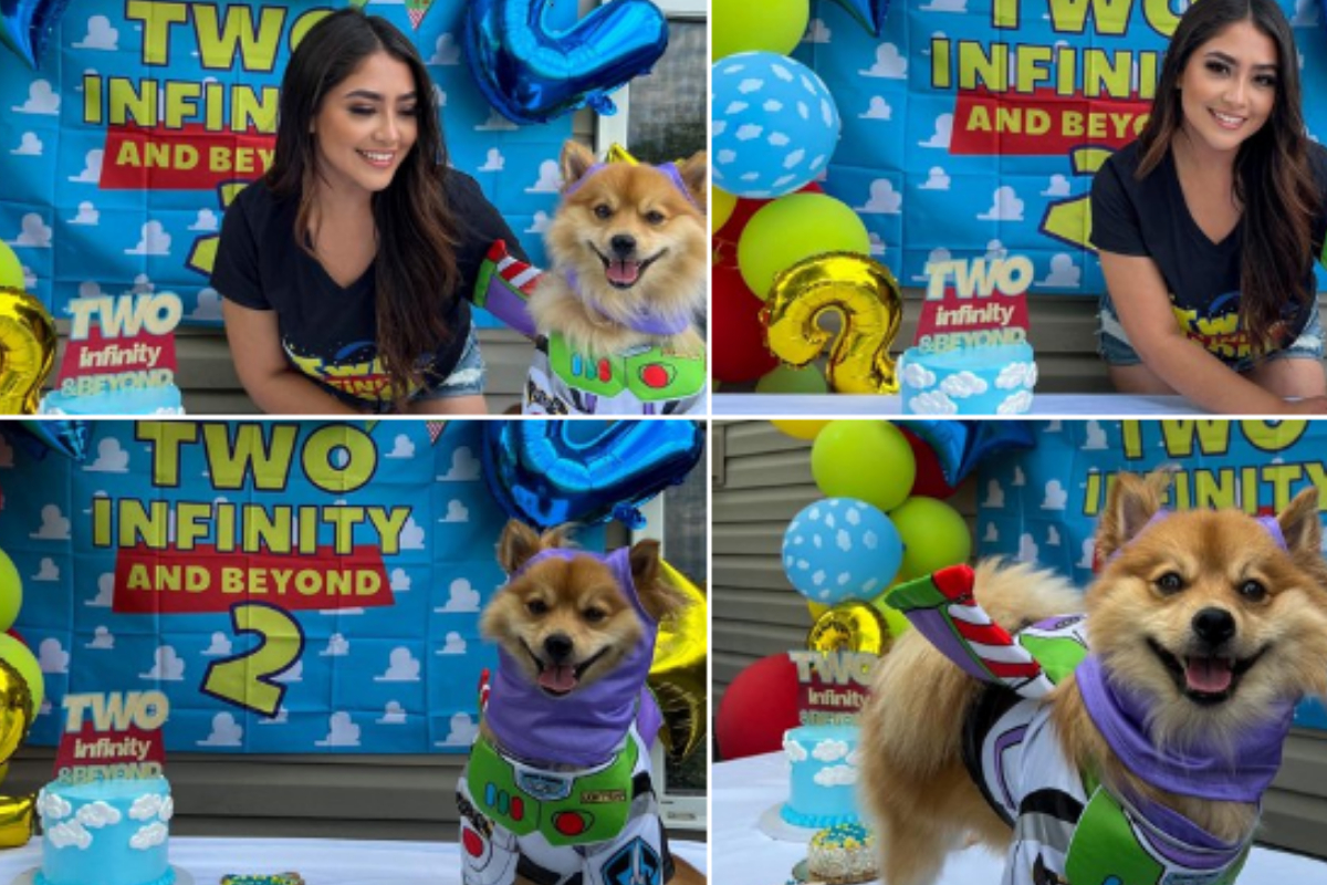 Lightyear dog Photo