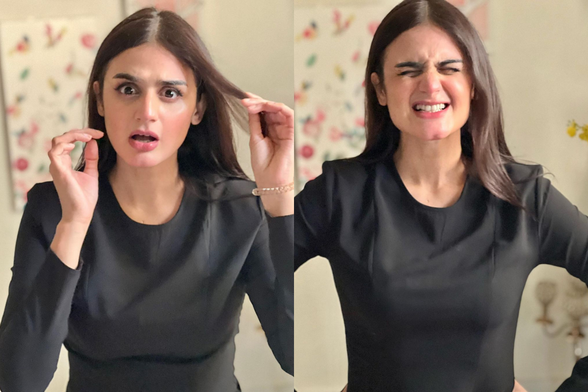 Hira Mani