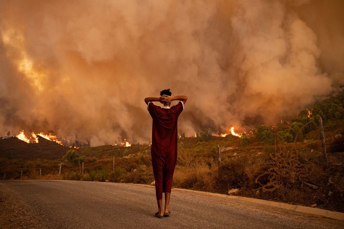 wildfires