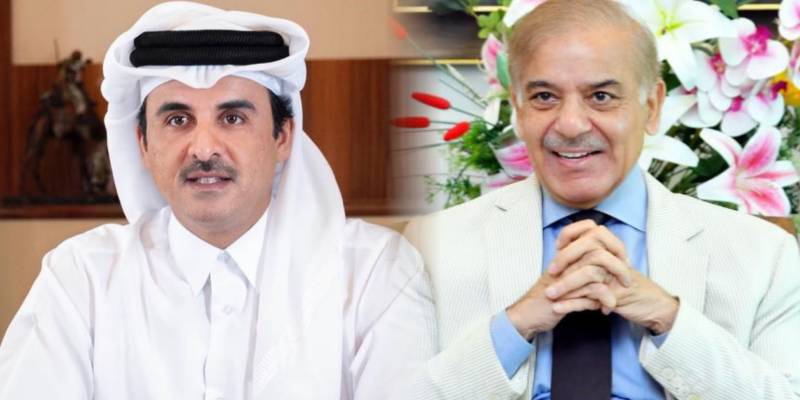 Shehbaz Tamim Bin Hamad Al Thani