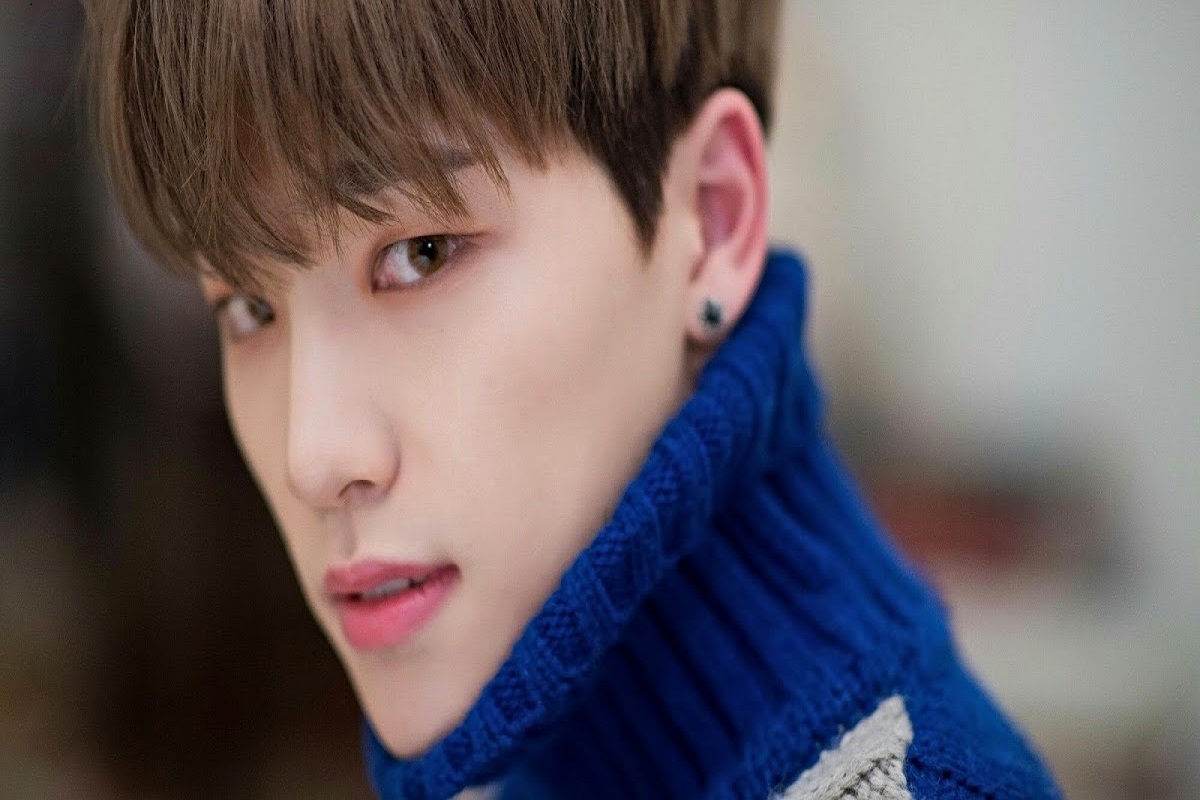 Seventeen Dino